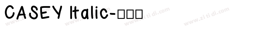 CASEY Italic字体转换